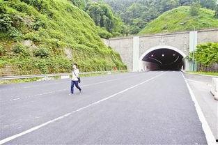 真武山隧道爆料视频最新,最新爆料视频深度解析  第1张